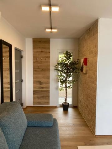 Villa Od Moore Starigrad Esterno foto